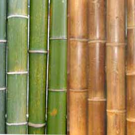 Trennwand Bambus