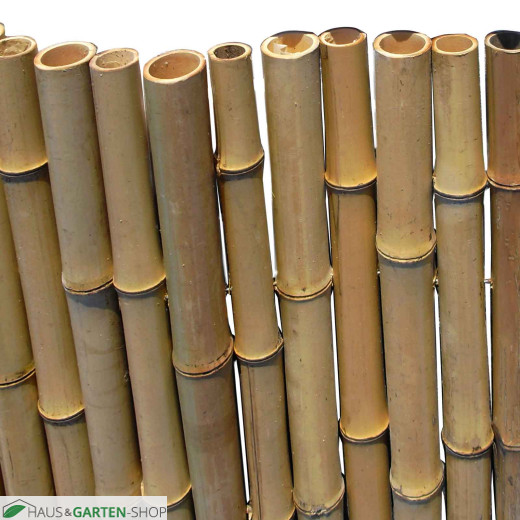 Bambusmatte Bahrain - kräftige Bambusstangen