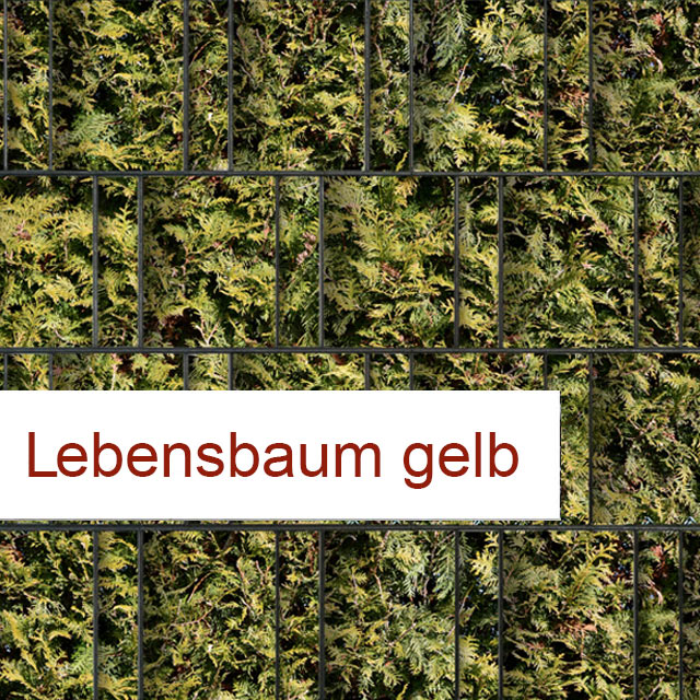 PES-Sichtschutzstreifen Doppelstabzaun Lebensbaum Gelb
