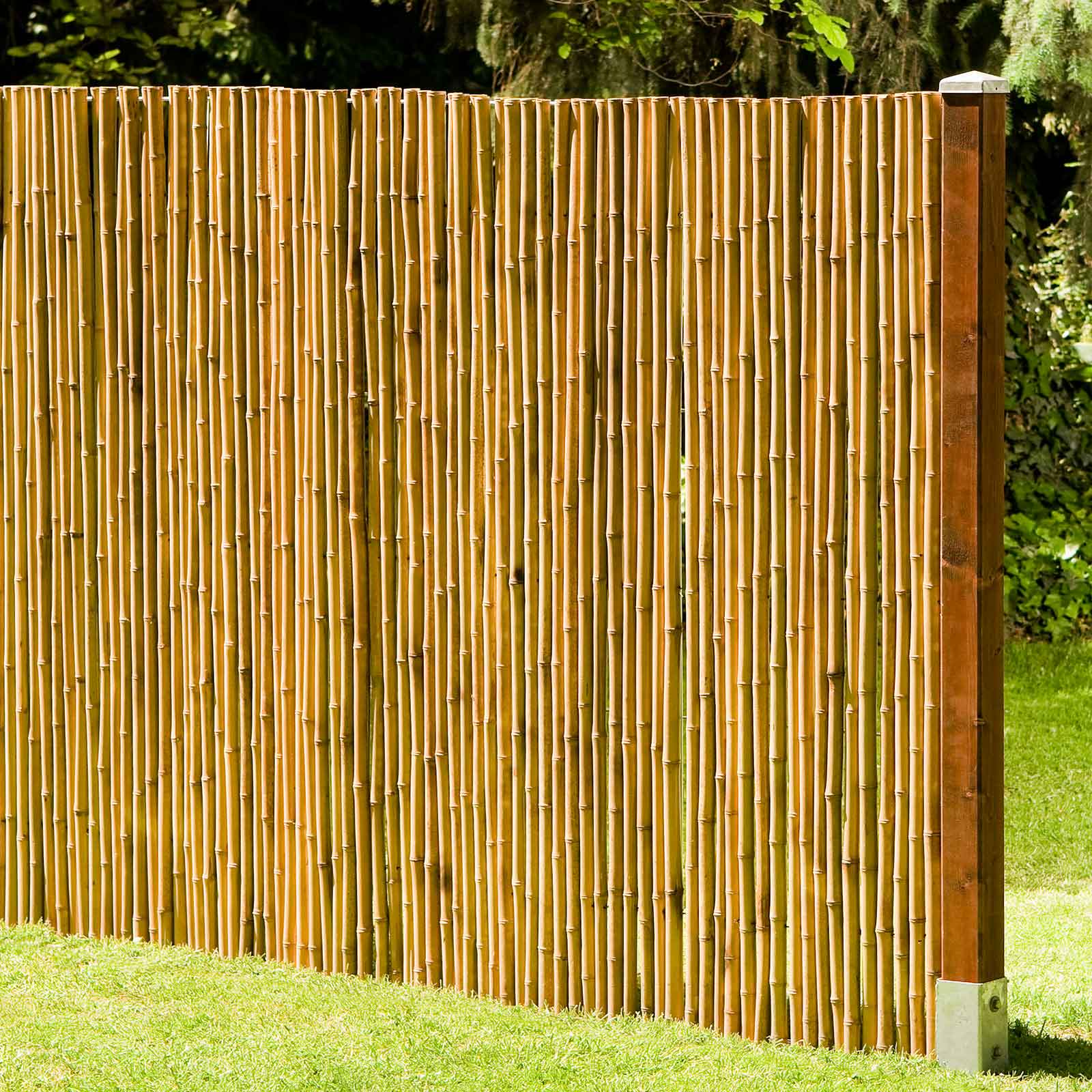 Noor Bambusmatte Deluxe verschiedene Größen-2,00 x 2,00 m