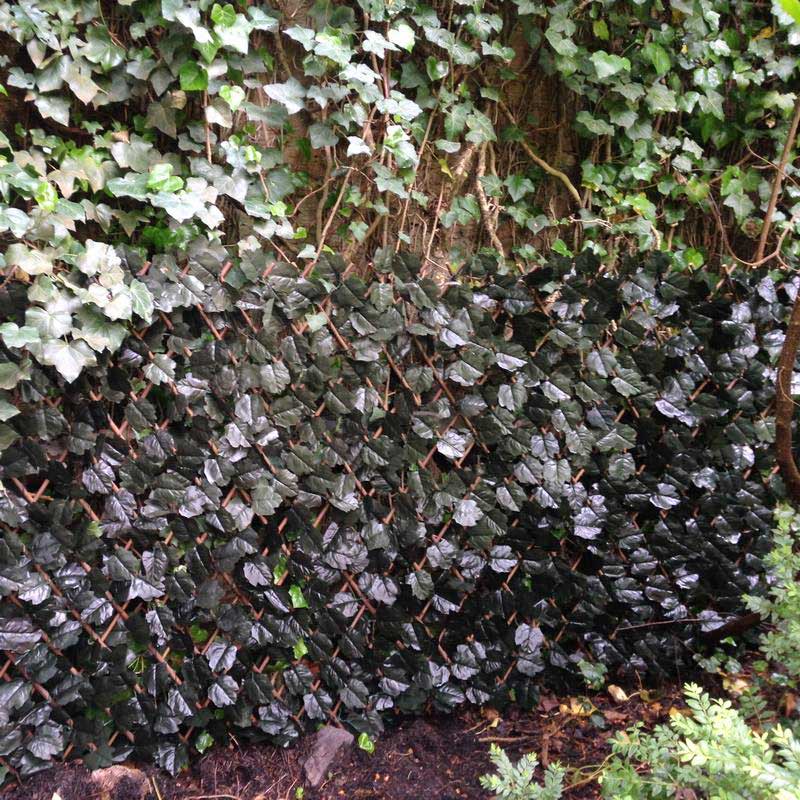Rankhecke Weide-1 x 2 m