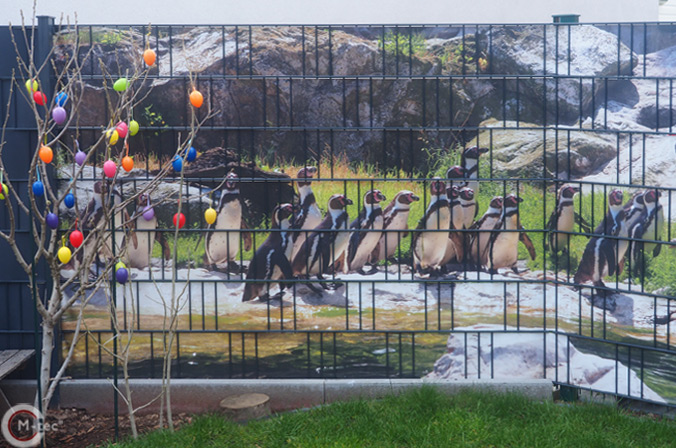 Pinguine Zaunposter Pinguine Zaunposter