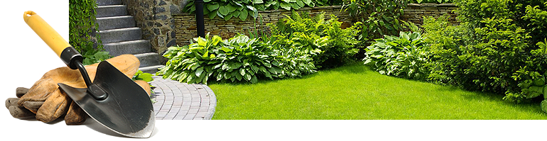lawn-maintain
