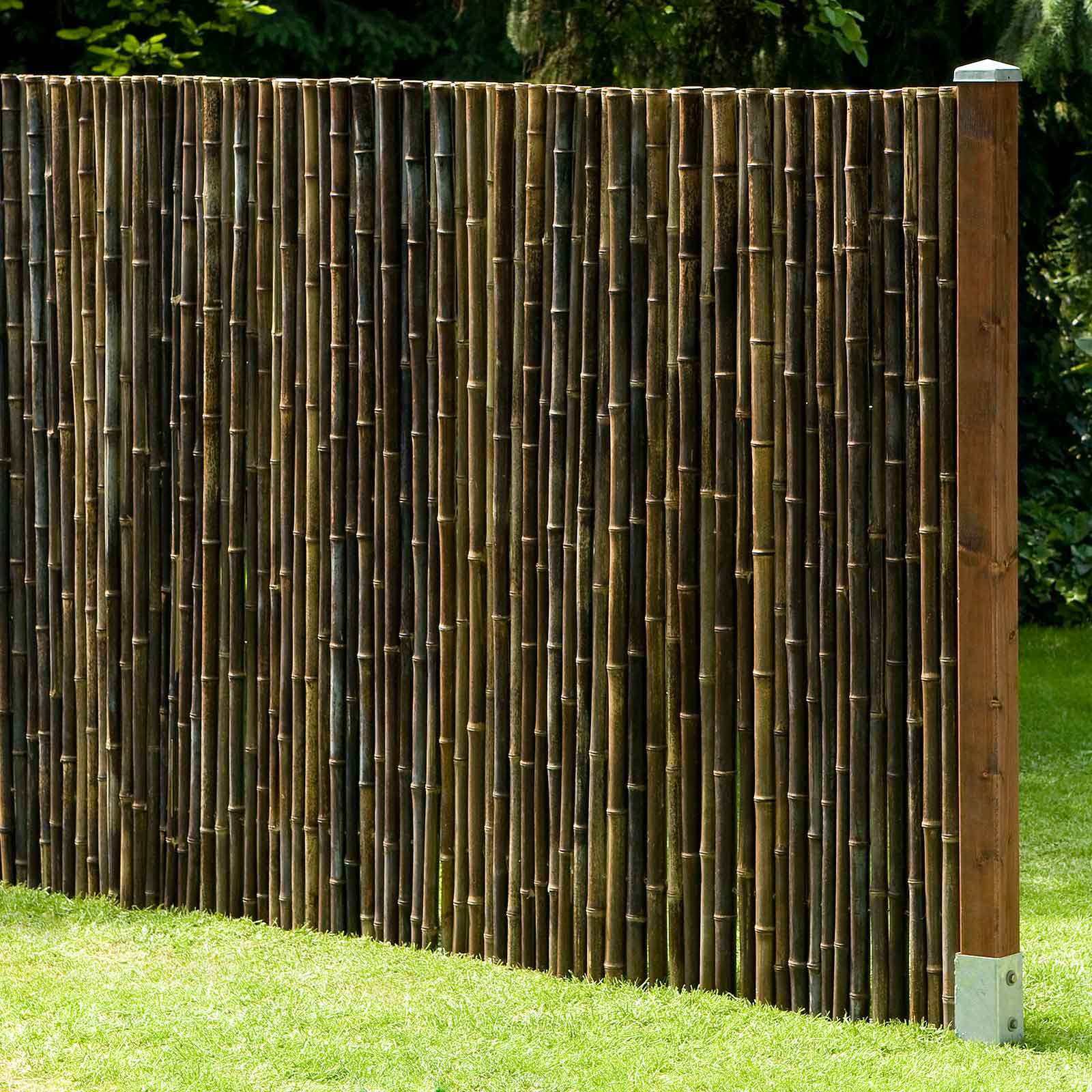 Noor Bambusmatte Kapstadt | Sichtschutz-  2,00 x 2,00 m