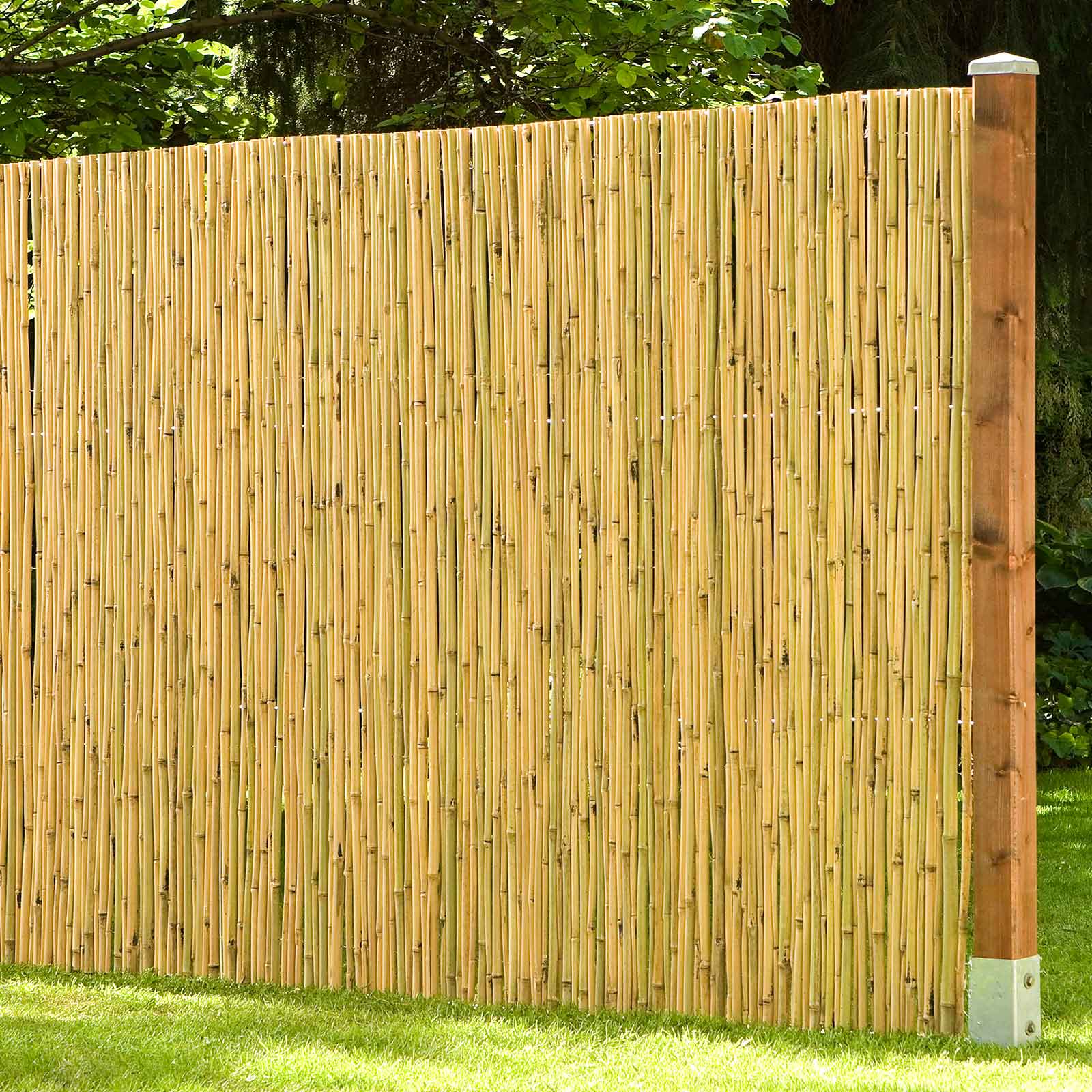 Bambusmatte Kairo- 2,00 x   3,00 m
