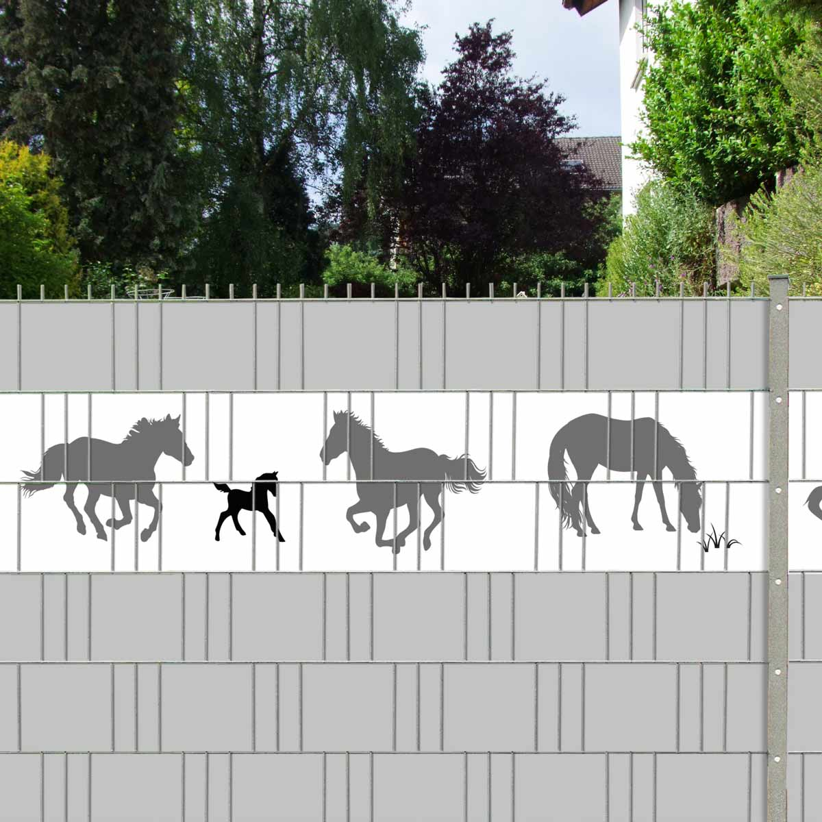 dekoratives Tiermotiv Pferde in der Zaunanlage Sichtschutzstreifen - Pferde