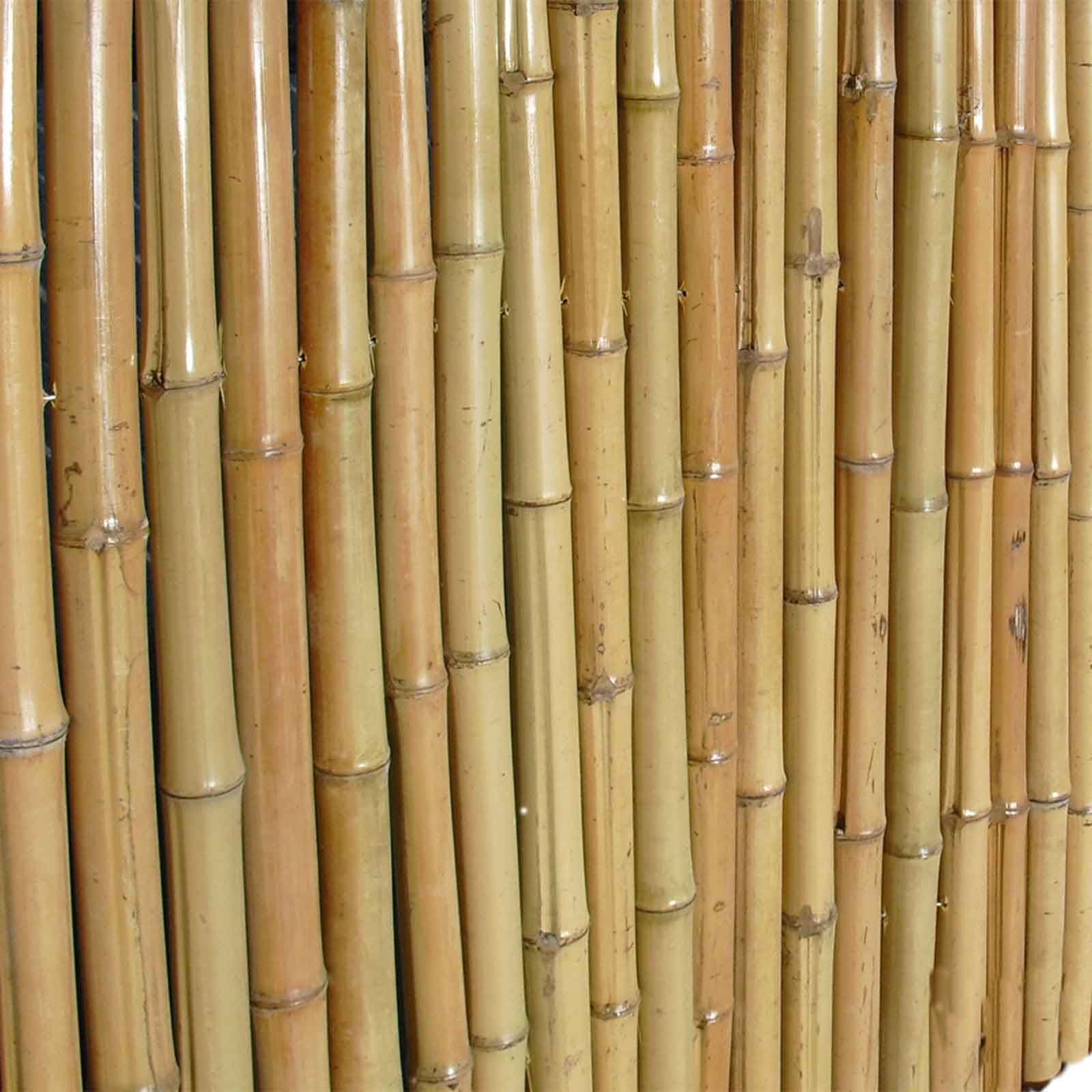 Bambusmatte Bahrain-1,20m x 2,00m Ø 43-47mm