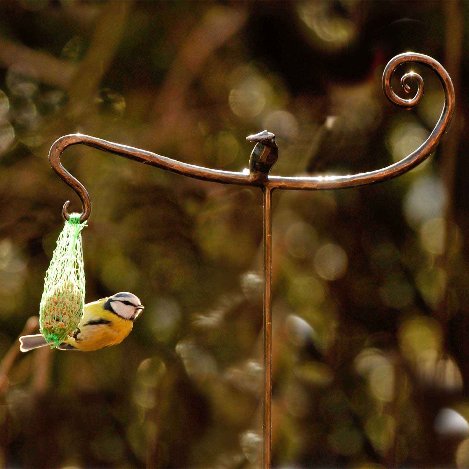 Meisenknödelhalter mit Vogel