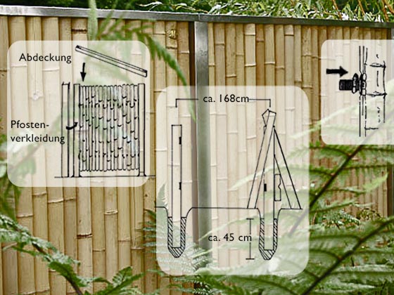 Bambooline Montage