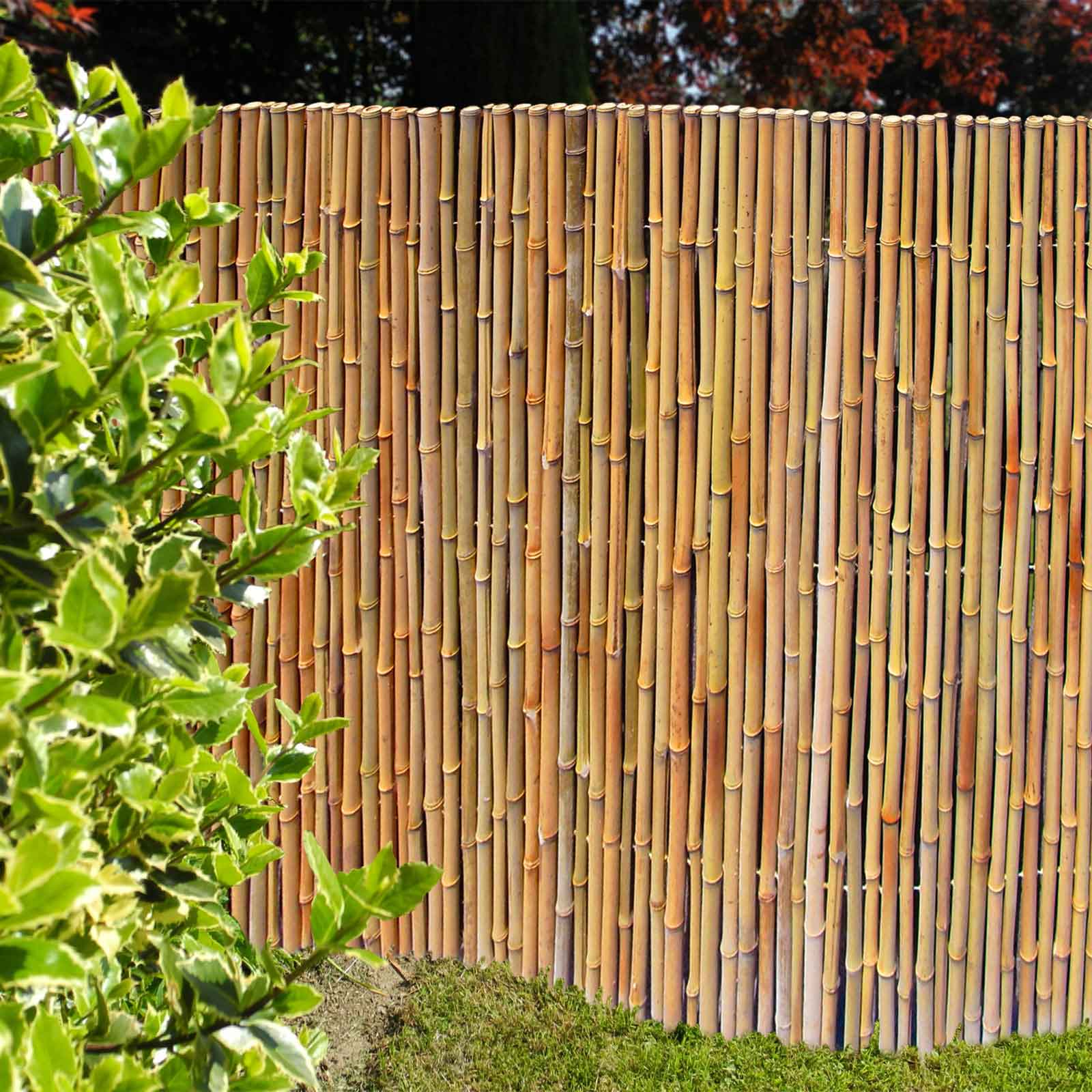 Bambusmatte Bahrain-1,20m x 2,00m Ø 43-47mm