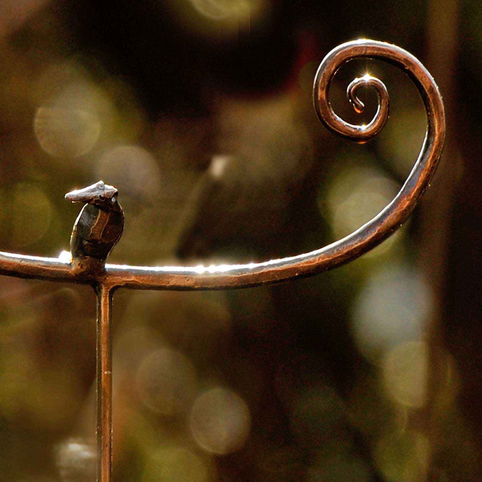 Meisenknödelhalter mit Vogel