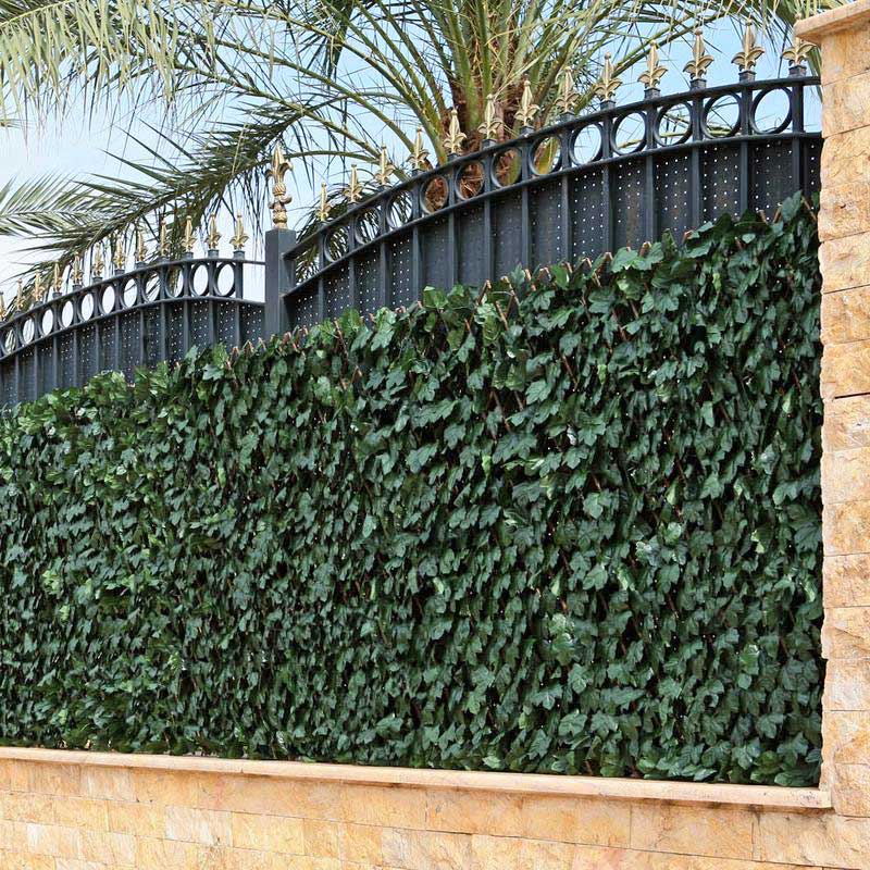 Rankhecke Weide-1 x 2 m