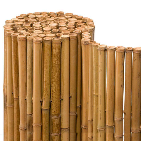 Bambusmatte Tropez Bambus / Sichtschutz