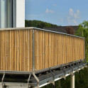 Balkonsichtschutz Bambus by M-tec technology