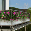 Balkonbanner mit Drillingsblumen auf Steinmauer