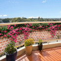 Balkonbanner mit Rosenranken auf einer Backsteinmauer