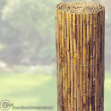 Bambusmatte Tunis Bambus / Sichtschutz - Rolle