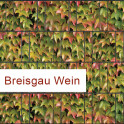 Sichtschutzstreifen Motiv bunter  Wein Breisgau