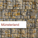 Sichtschutzstreifen Motiv Münsterland PES / Polyester