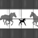 PVC Sichtschutzstreifen - Pferde