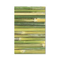 Musterstück "M-tec print®" Weich-PVC mit Motiv - Grüner Bambus